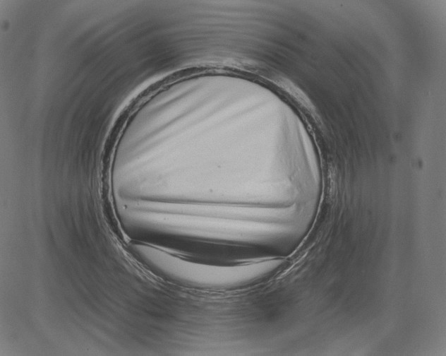 X0000080711020200701051004