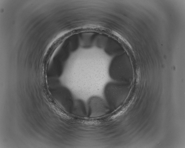 X0000080711021200701051004