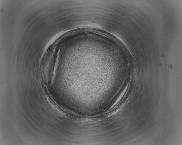 X0000080711022200701051004