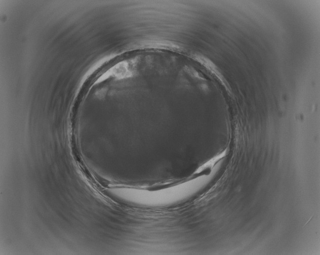 X0000080711024200701051004