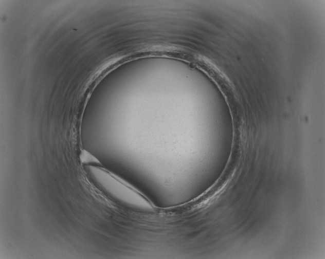 X0000080711025200701051004