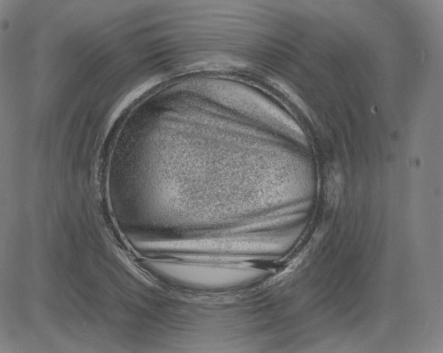 X0000080711026200701051004