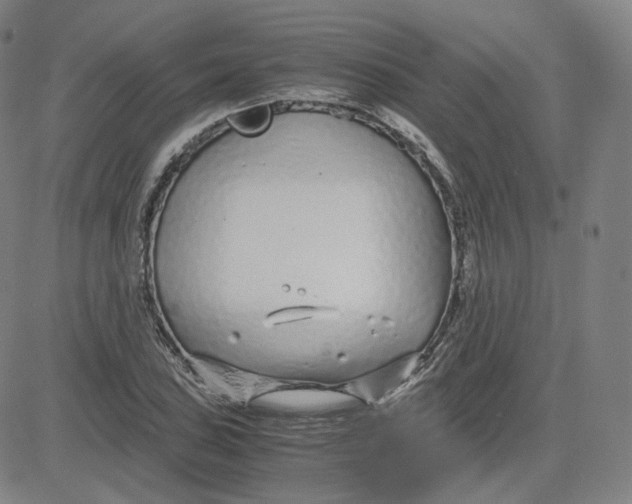 X0000080711027200701051004