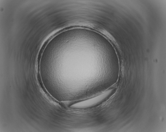 X0000080711028200701051004