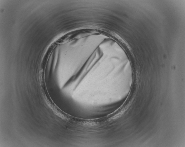 X0000080711029200701051004