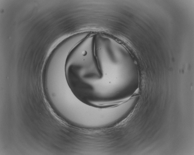 X0000080711030200701051004