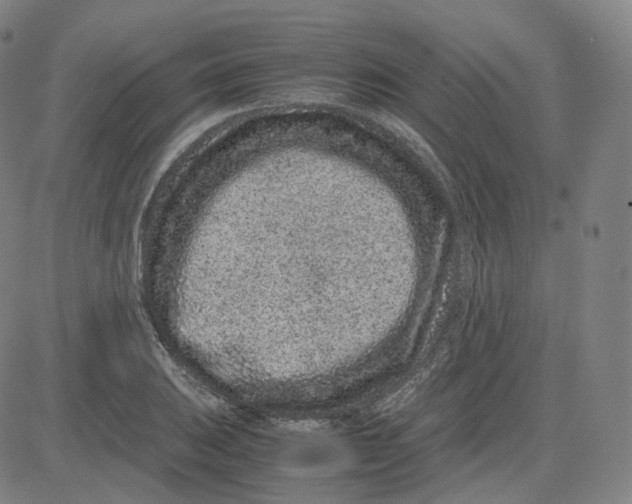 X0000080711031200701051004