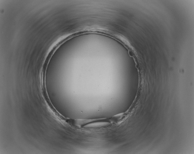 X0000080711032200701051004