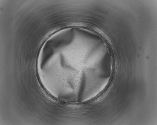 X0000080711033200701051004