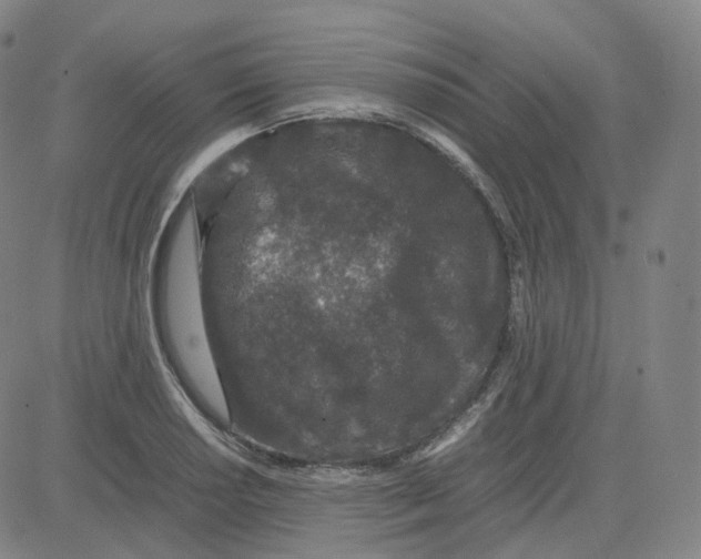 X0000080711034200701051004