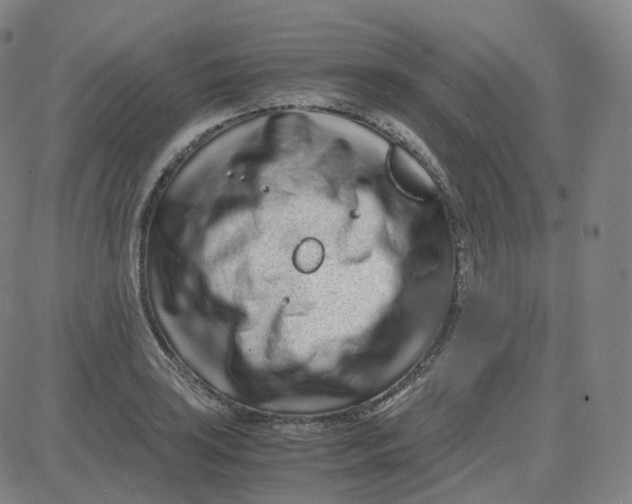 X0000080711035200701051004