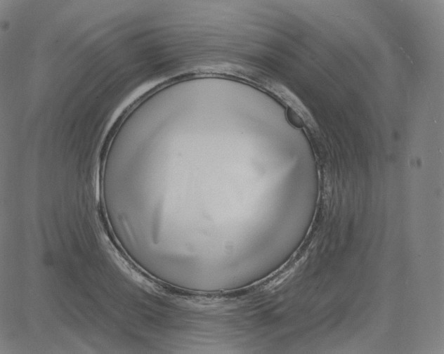 X0000080711036200701051004