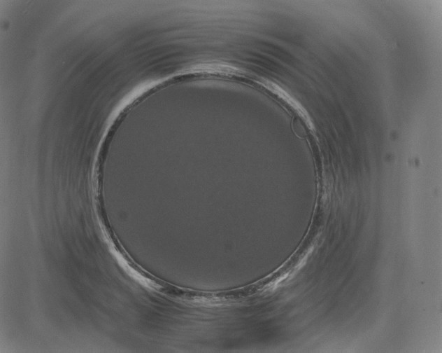 X0000080711037200701051004