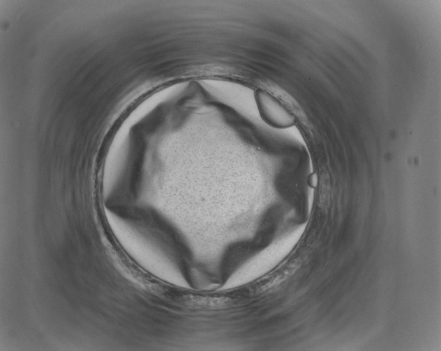 X0000080711039200701051004