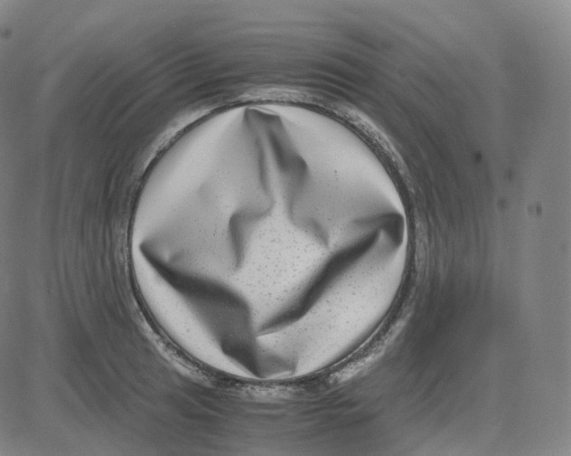 X0000080711041200701051004