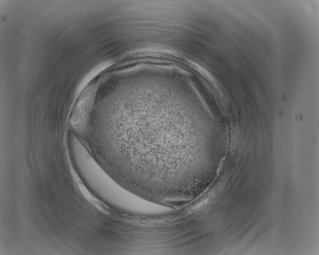 X0000080711042200701051004