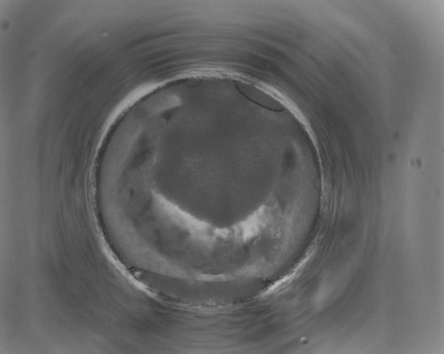 X0000080711045200701051004