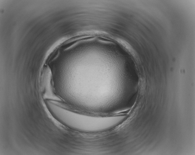 X0000080711046200701051004