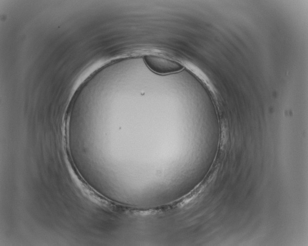 X0000080711047200701051004