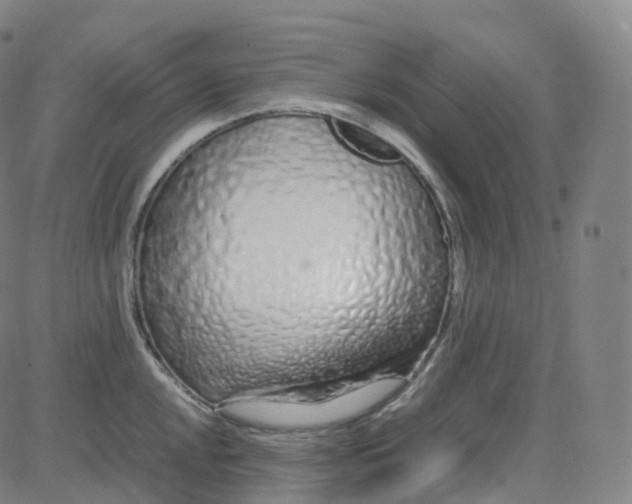 X0000080711048200701051004