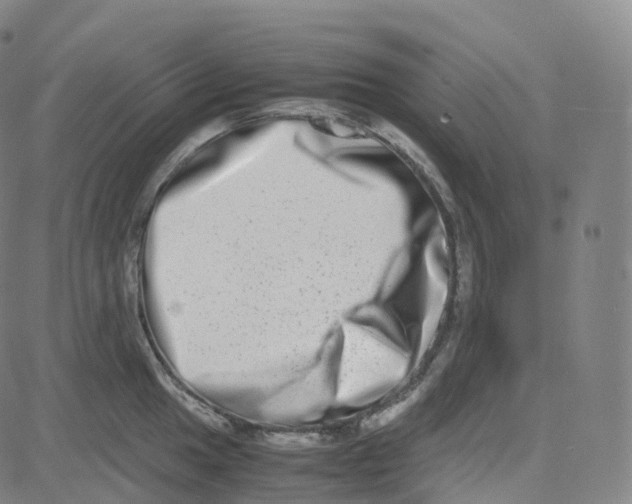 X0000080711049200701051004