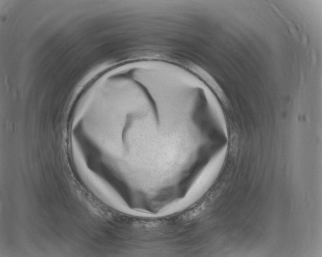 X0000080711051200701051004