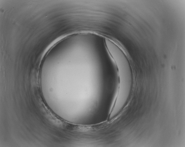 X0000080711052200701051004