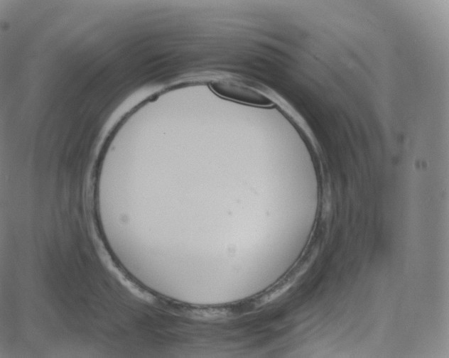 X0000080711053200701051005