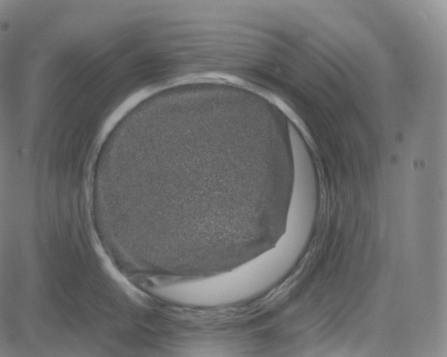 X0000080711054200701051005