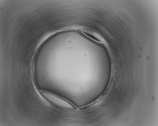 X0000080711055200701051005