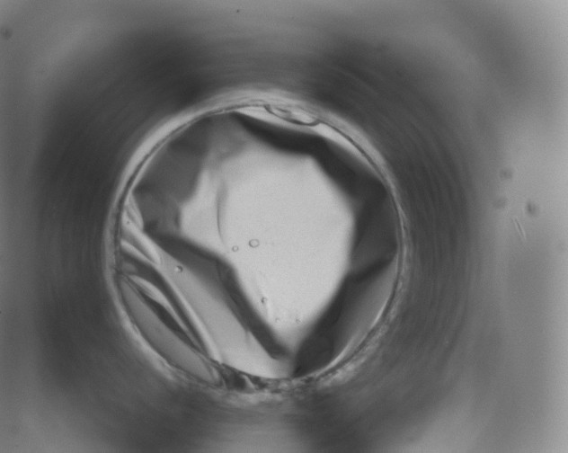 X0000080711056200701051005