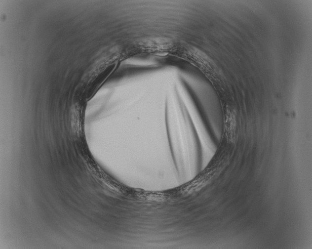 X0000080711058200701051004