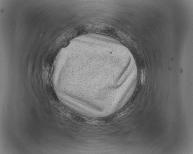 X0000080711059200701051004