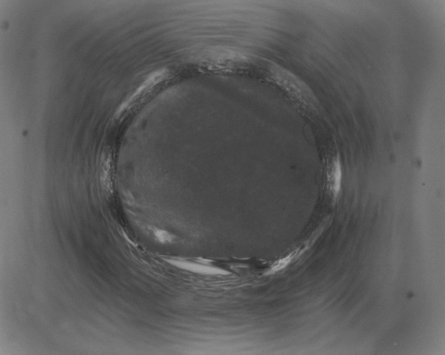 X0000080711060200701051004