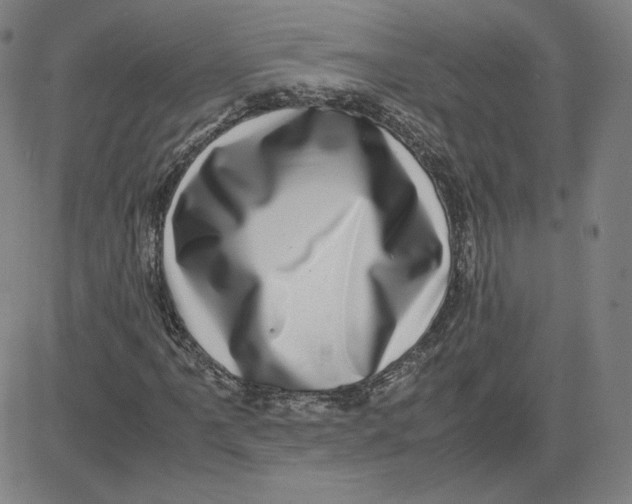 X0000080711061200701051004