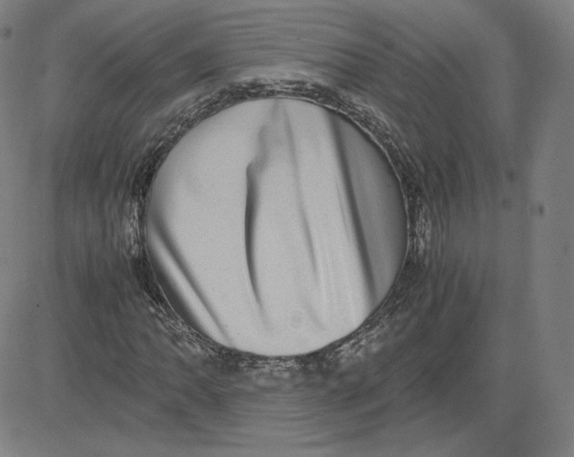 X0000080711062200701051004