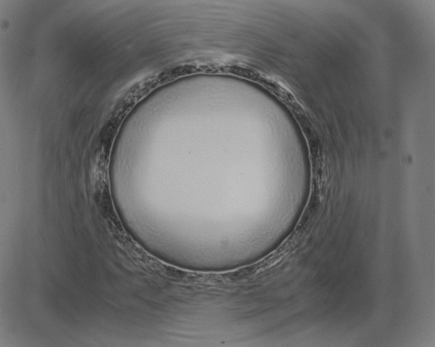 X0000080711063200701051004