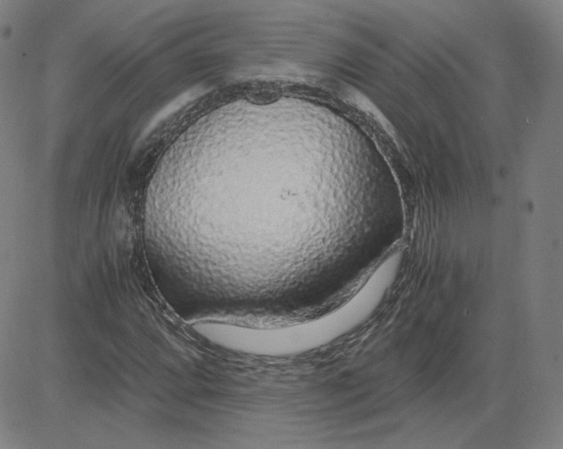 X0000080711064200701051004