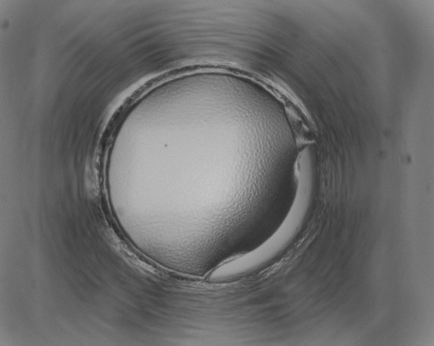 X0000080711068200701051004