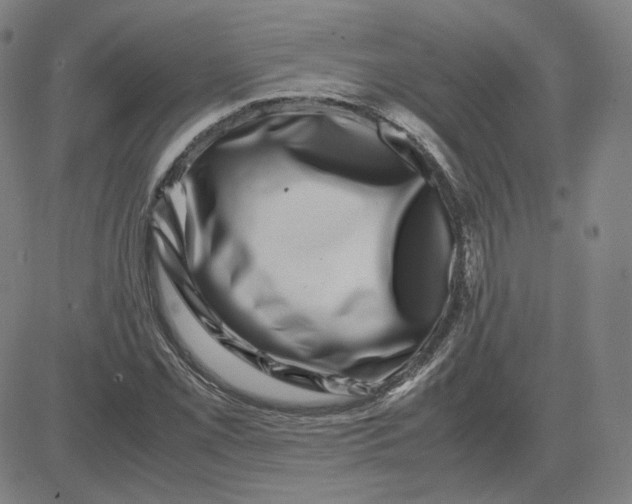 X0000080711069200701051004