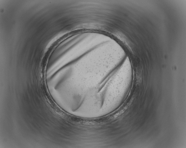 X0000080711070200701051004