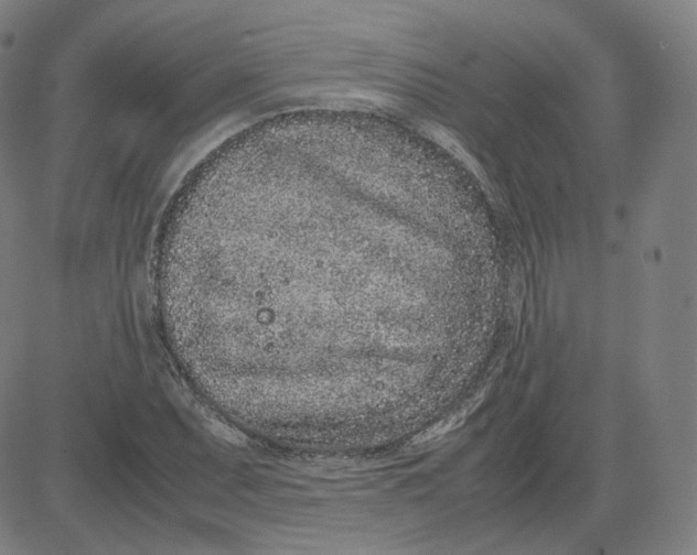 X0000080711071200701051004