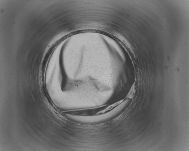 X0000080711072200701051004