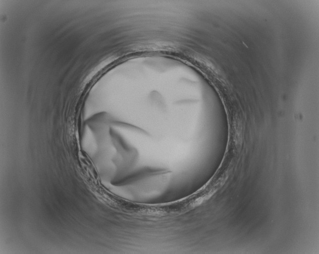 X0000080711073200701051004