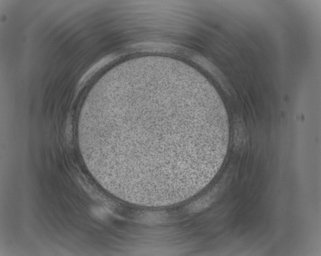 X0000080711074200701051004