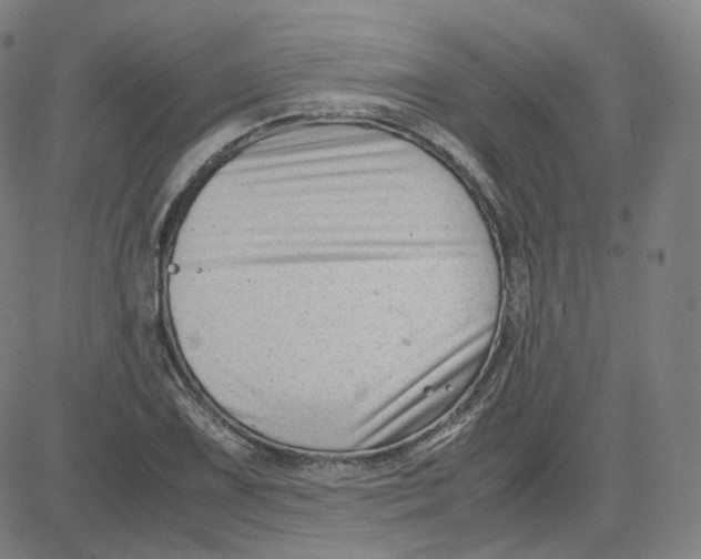 X0000080711075200701051003