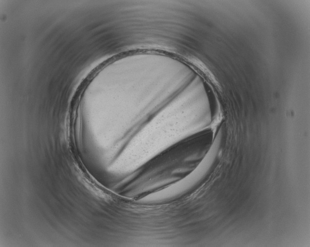 X0000080711076200701051003