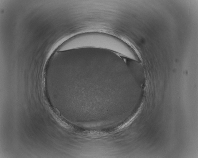 X0000080711077200701051003