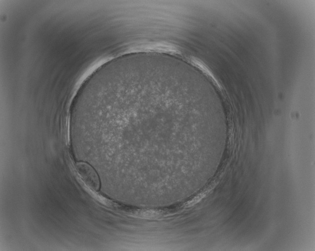 X0000080711079200701051003