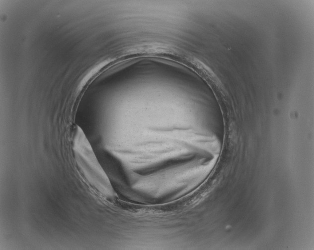 X0000080711081200701051003